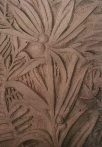 Plants Detail